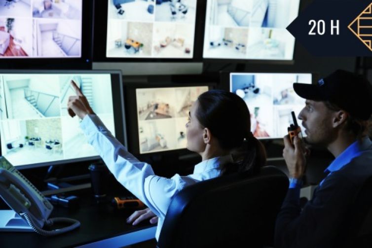 ACTUALIZACIÓN VIGILANTE DE SEGURIDAD-SEAD006PO