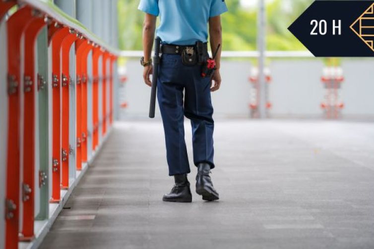 SERVICIO DE VIGILANCIA EN URBANIZACIONES, POLÍGONOS, TRANSPORTES Y ESPACIOS PÚBLICOS