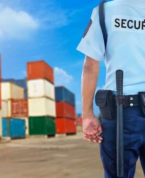 SERVICIO DE VIGILANCIA EN PUERTOS