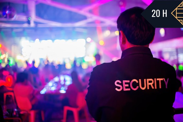 CONTROL DE ACCESO EN GRANDES EVENTOS – SEAD003PO