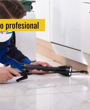 SERVICIOS PARA EL CONTROL DE PLAGAS