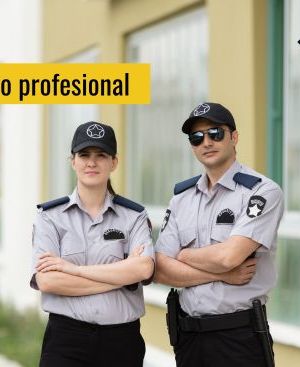 VIGILANCIA, SEGURIDAD PRIVADA Y PROTECCIÓN DE PERSONAS