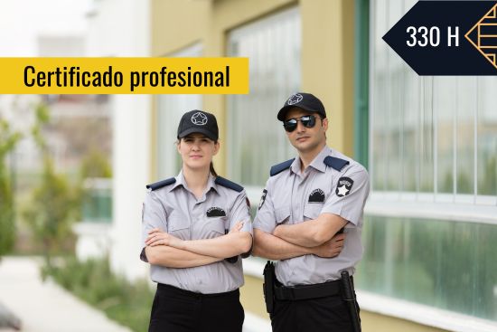 VIGILANCIA, SEGURIDAD PRIVADA Y PROTECCIÓN DE PERSONAS