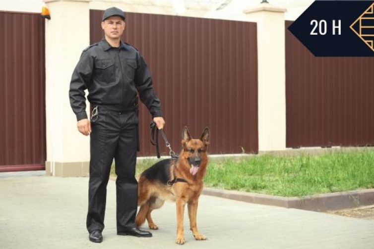 SERVICIO DE VIGILANCIA CON PERROS