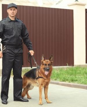 SERVICIO DE VIGILANCIA CON PERROS