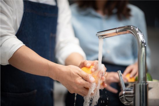 ficha web Seguridad e higiene alimentaria en las operaciones básicas de aprovisionamiento y preparación de bebidas sencillas y comidas rapidas