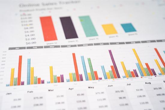 ficha web excel básico