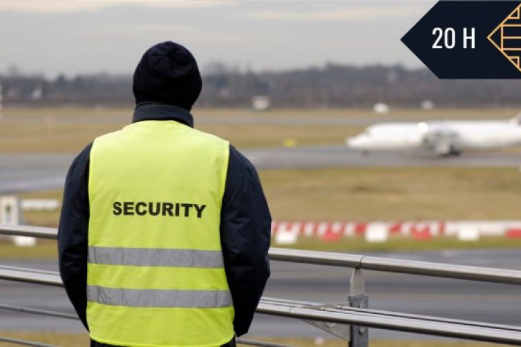 SEGURIDAD OPERACIONAL EN INSTALACIONES AEROPORTUARIAS-SEAD243PO