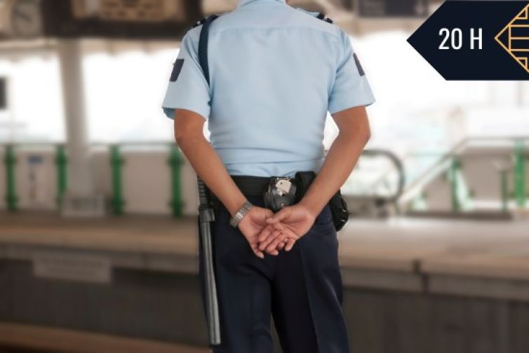 SEGURIDAD EN INSTALACIONES FERROVIARIAS Y METROPOLITANO-SEAD242PO