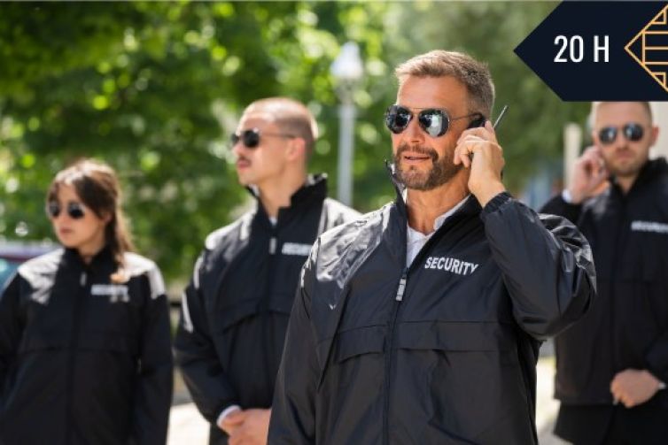 SISTEMAS DE SEGURIDAD-SEAD250PO